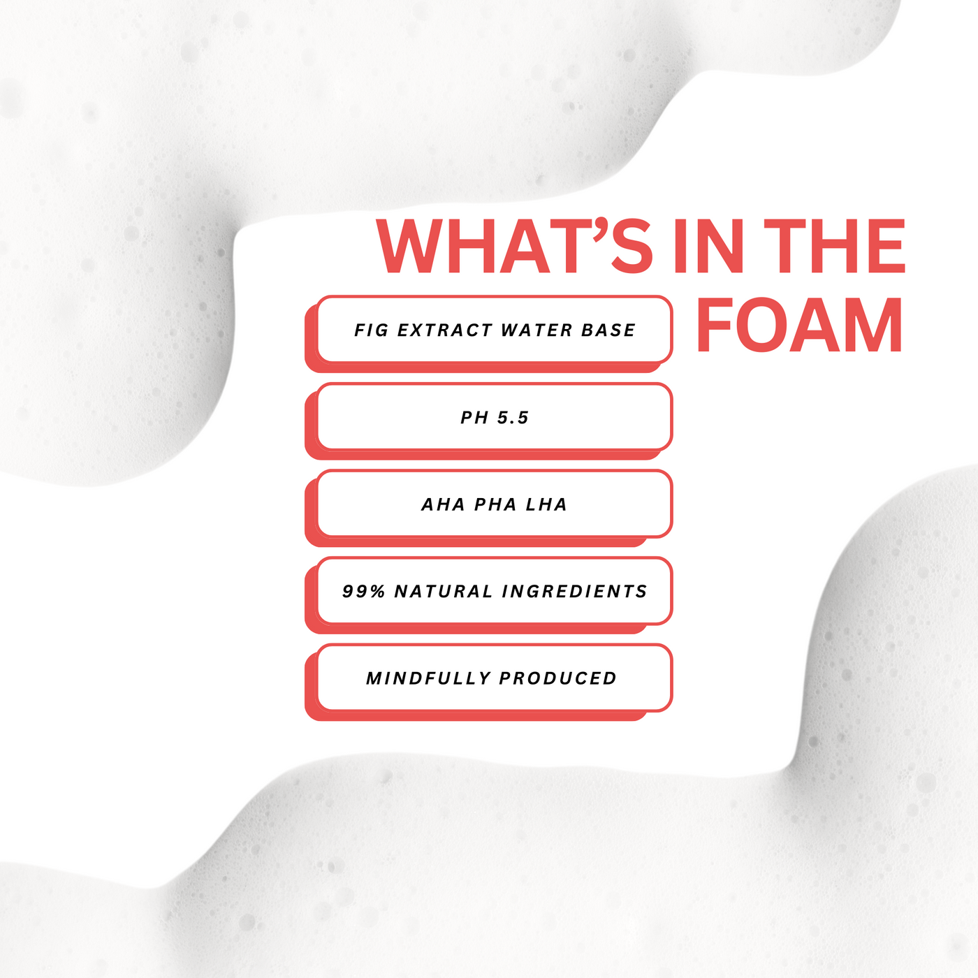 The Foam Cleanser